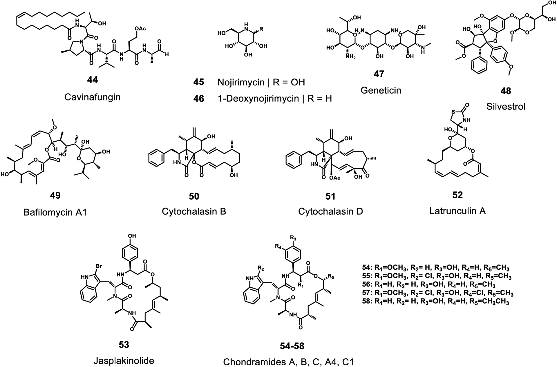 Figure 11.