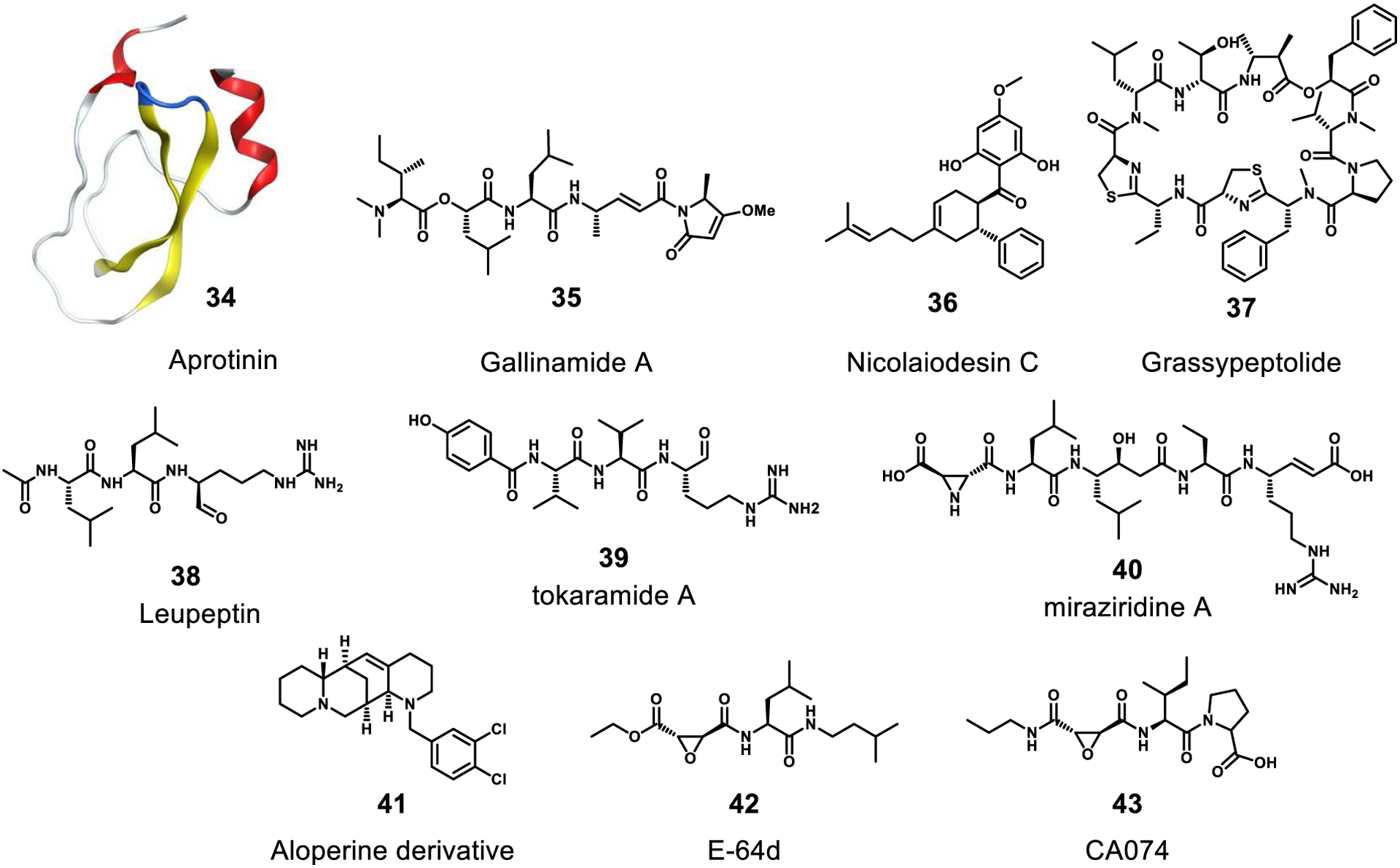 Figure 10.