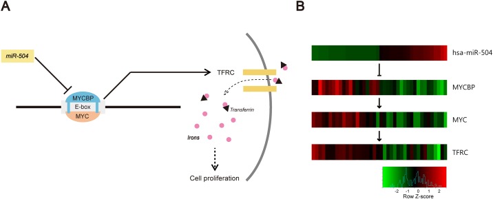 Fig 10