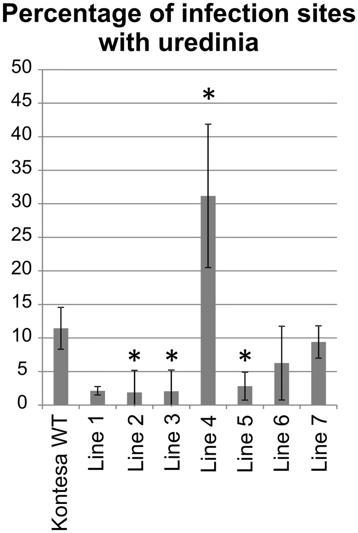 Fig 5