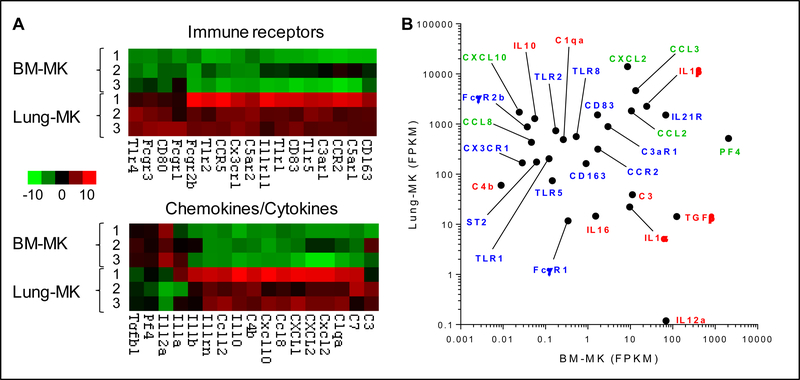 Figure 2: