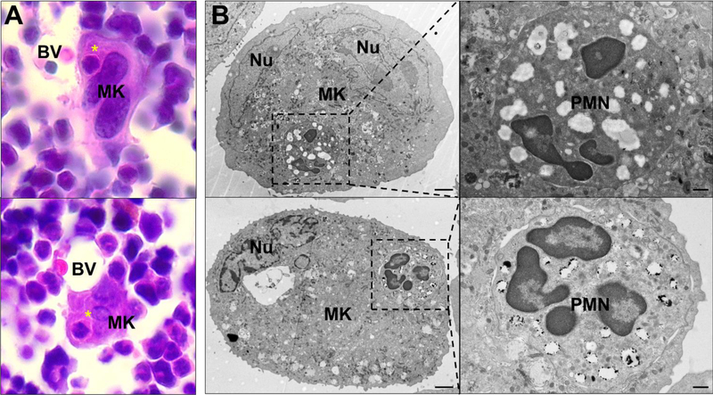 Figure 3: