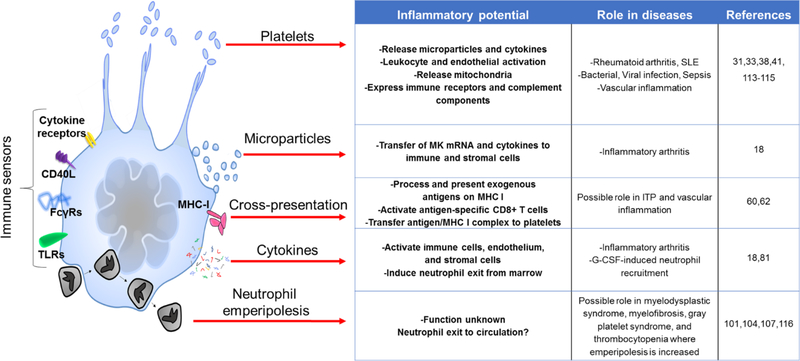 Figure 4: