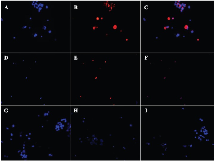 Fig. (4)