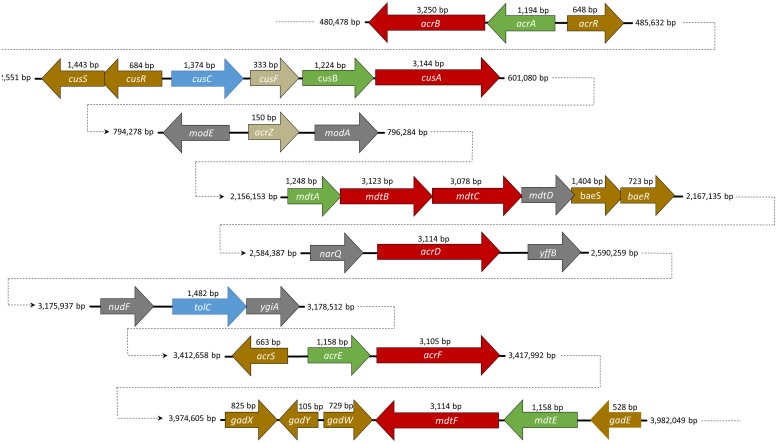 FIGURE 1