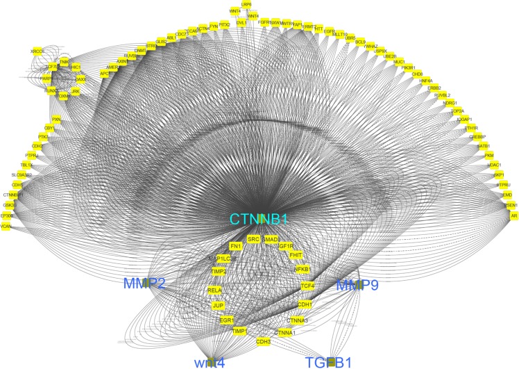 Figure 10