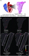Fig. 2: