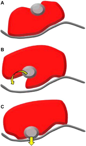 Figure 10