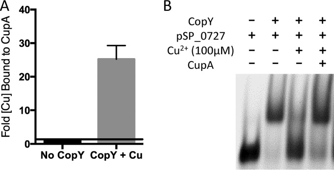 FIG 6 