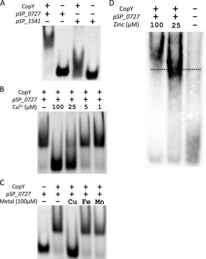 FIG 2 