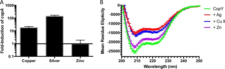 FIG 1 