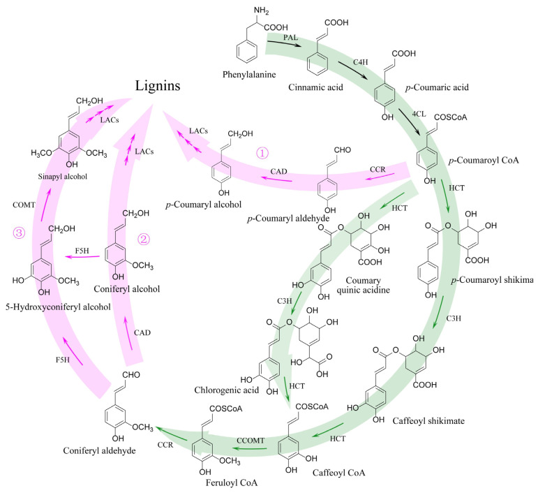 Figure 8