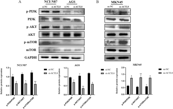 Fig. 7