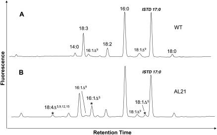 Figure 6.