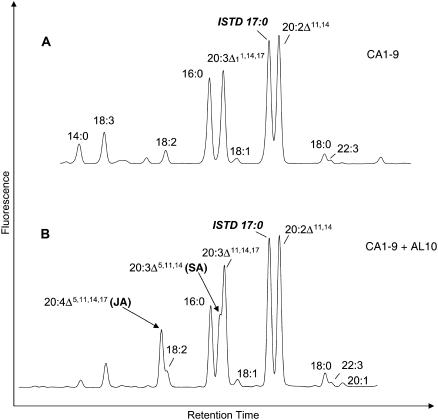 Figure 7.