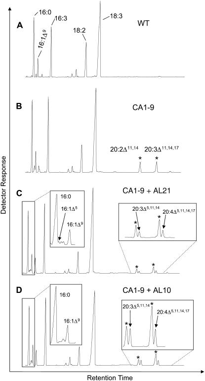 Figure 4.