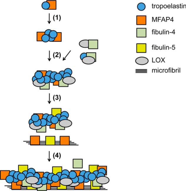 FIGURE 10.