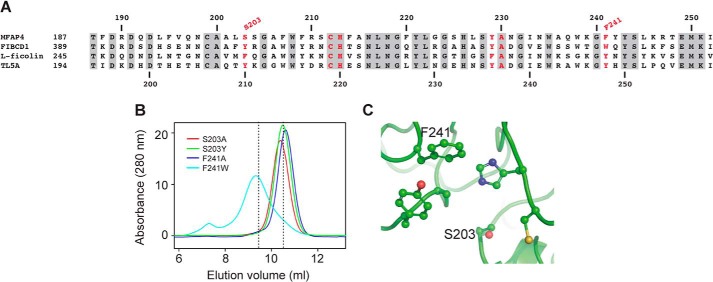 FIGURE 3.