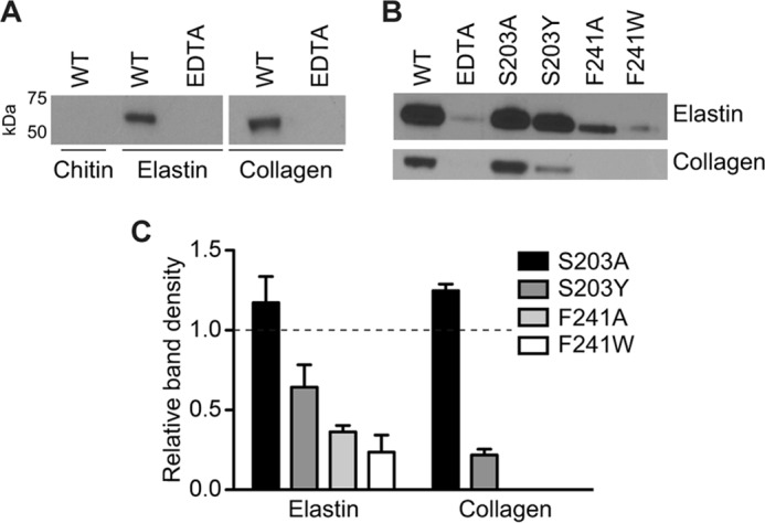 FIGURE 4.