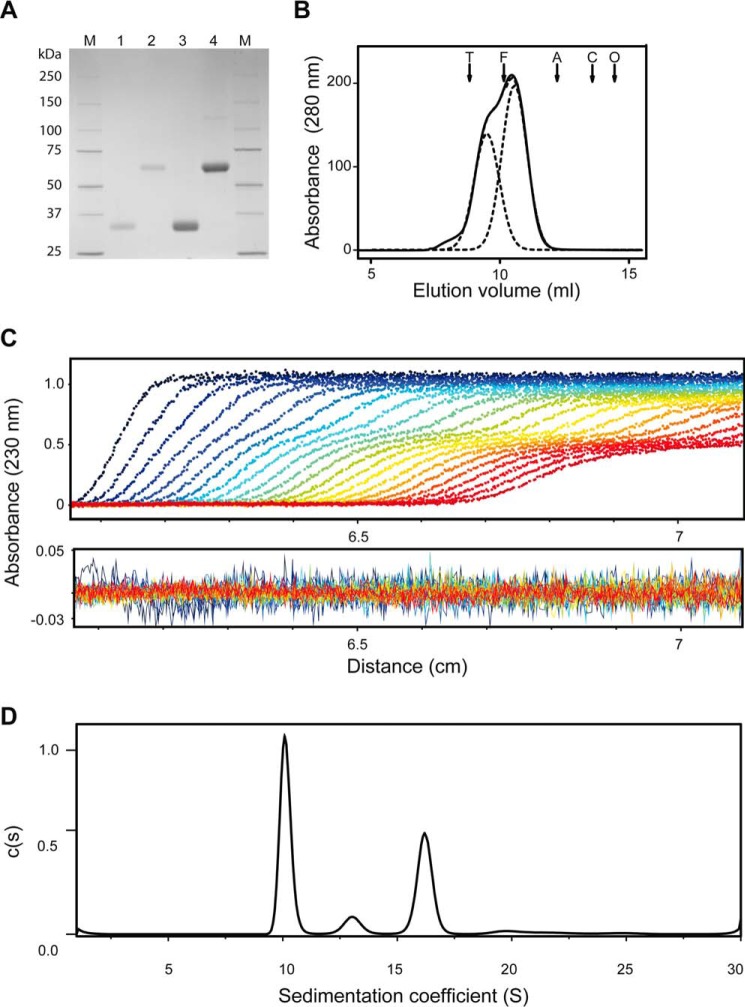 FIGURE 2.