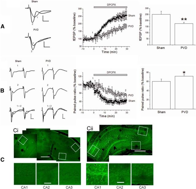 Figure 12.