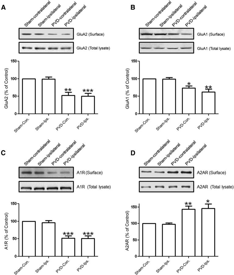 Figure 11.