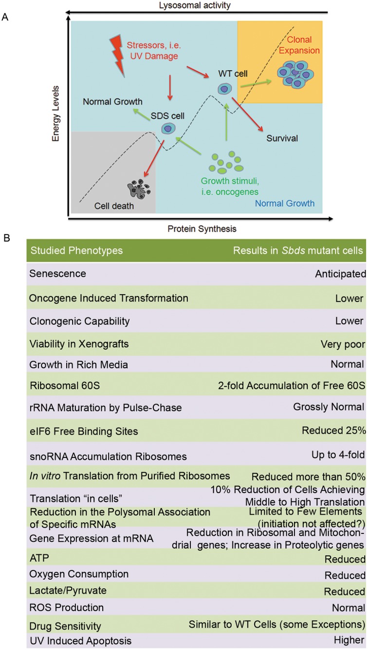 Fig 8