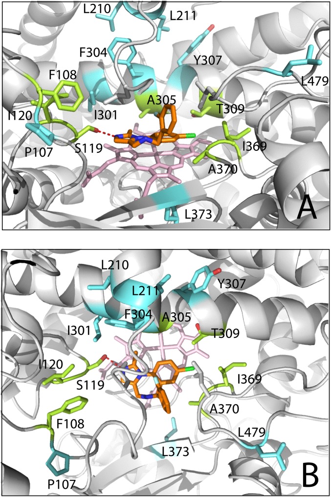 Fig. 4.