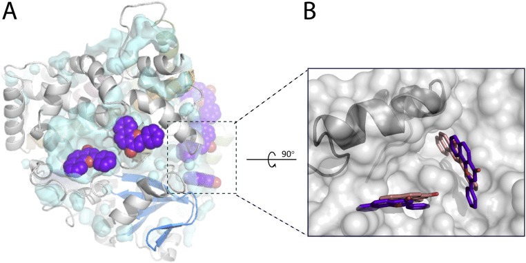 Fig. S3.