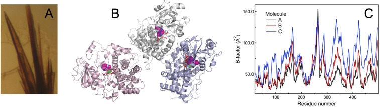 Fig. S1.