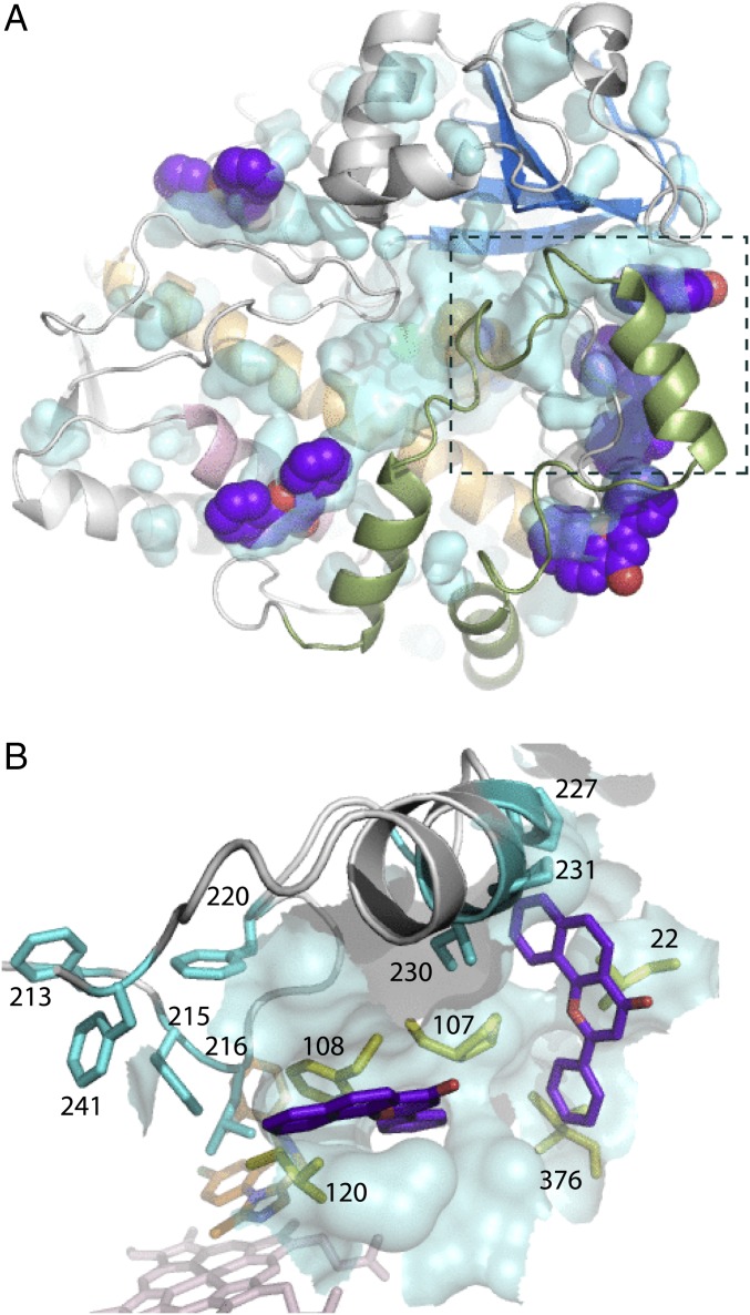 Fig. 6.