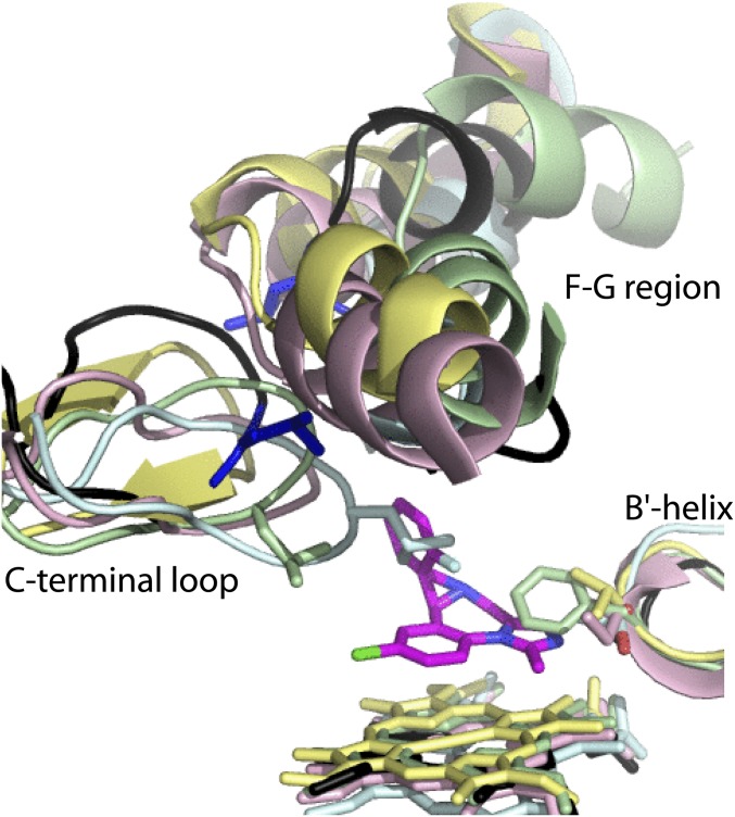 Fig. S5.