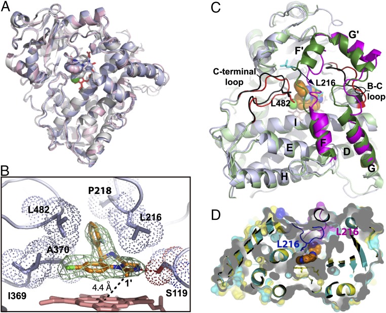 Fig. 3.