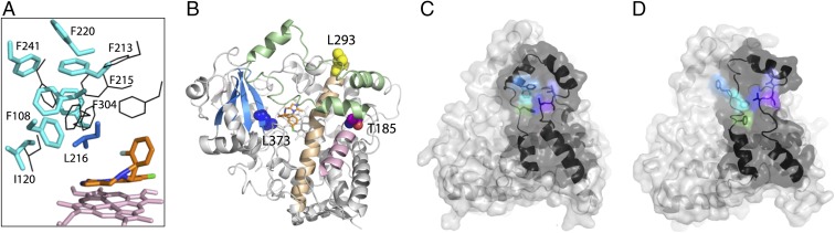 Fig. 5.