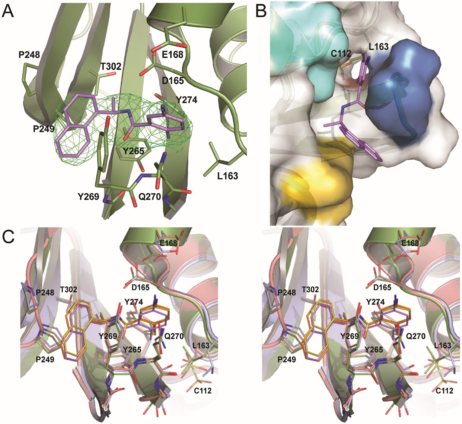 Figure 4.