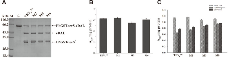 Fig. 5