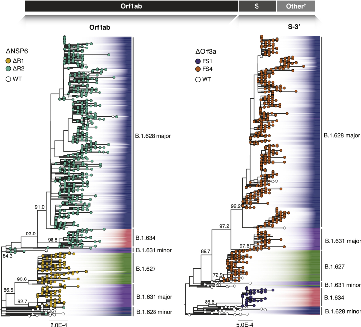 Figure 3