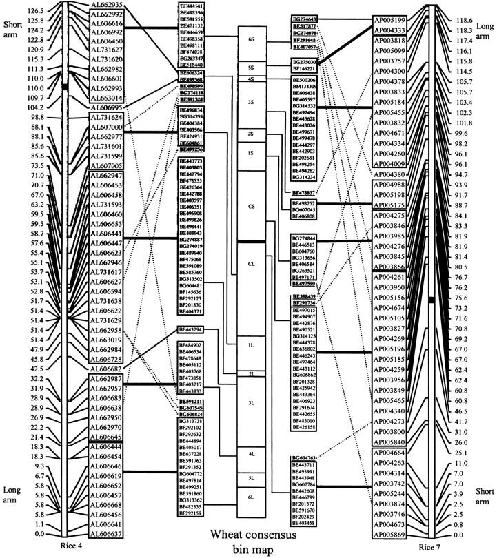 Figure 3.—