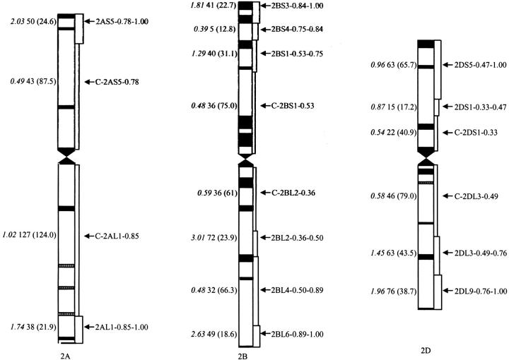 Figure 1.—