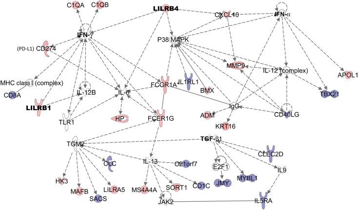 Figure 1.