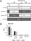 FIG 3
