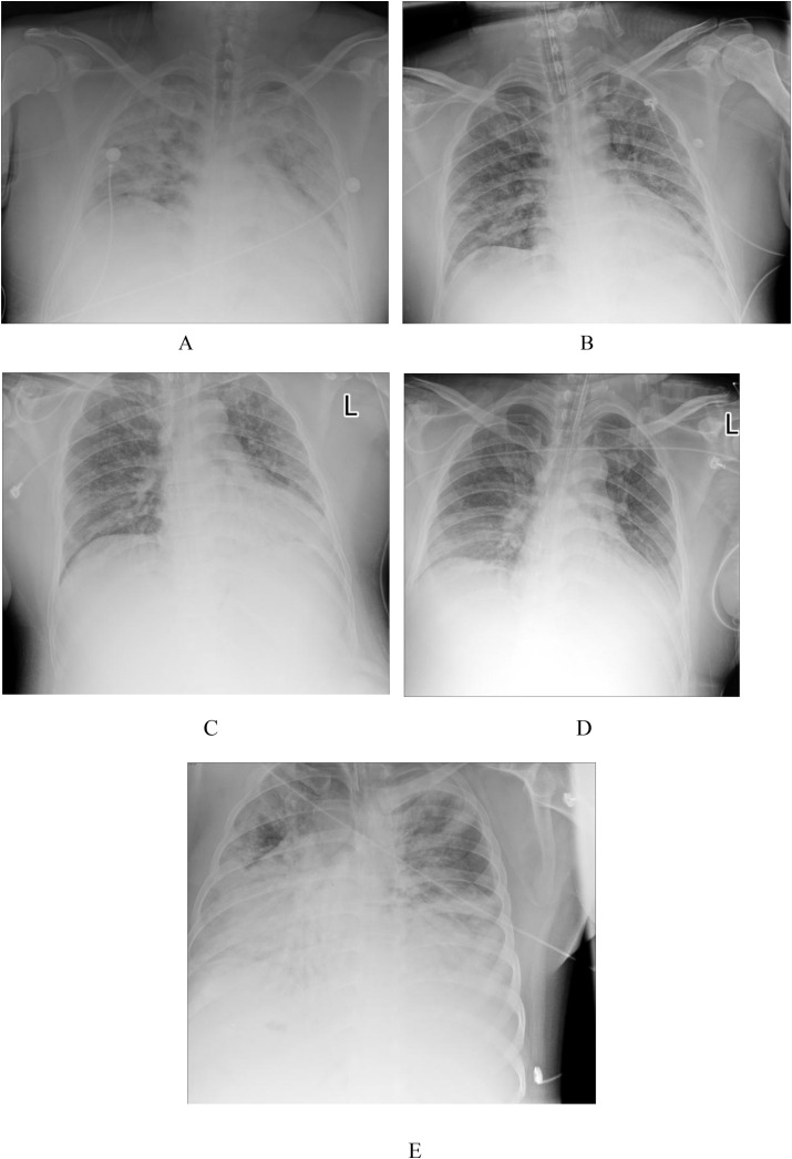 Fig. 2