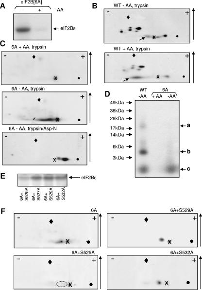 FIG. 6.