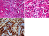 Fig. 2A–C