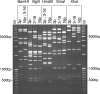 FIG. 1.
