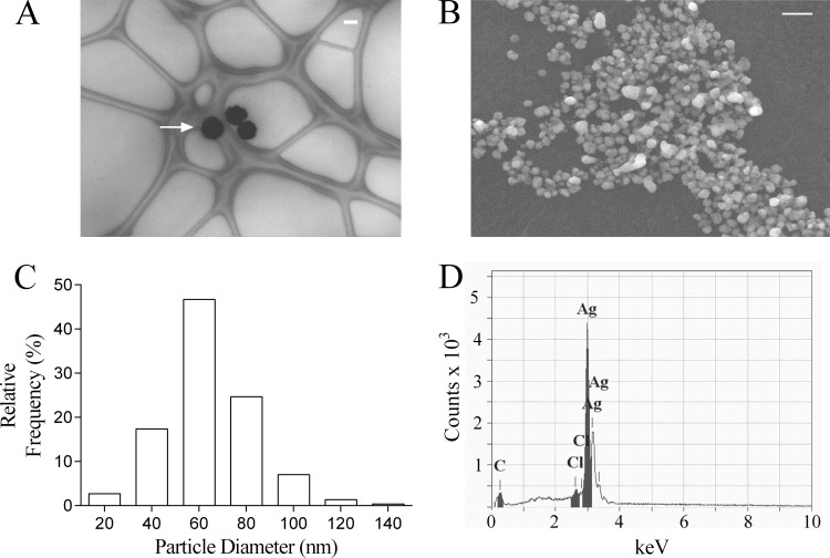 FIG 2