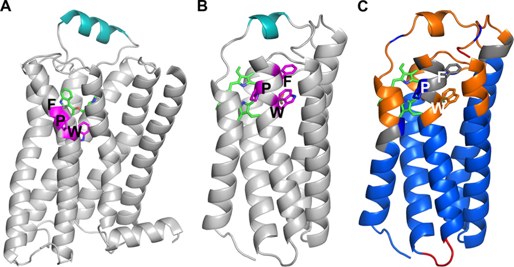 Figure 7