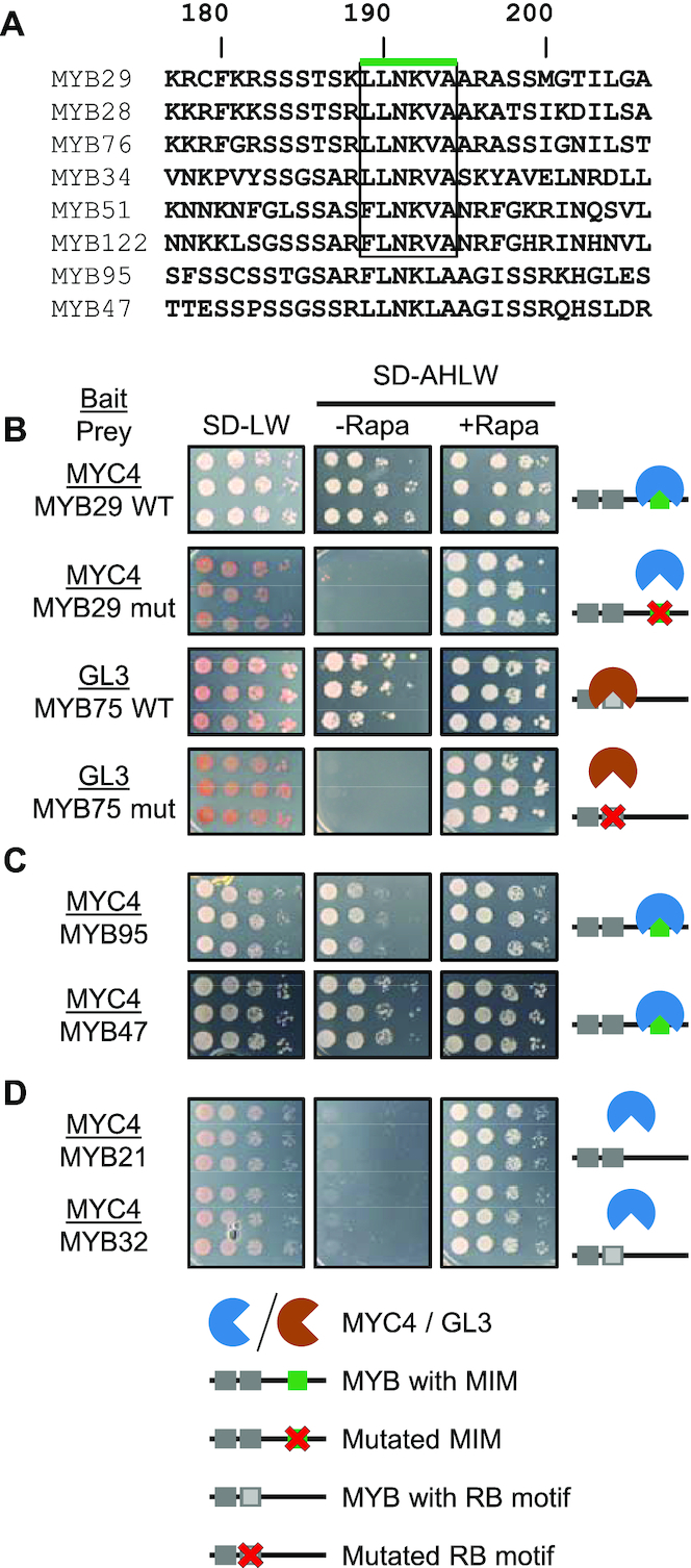 Figure 3.