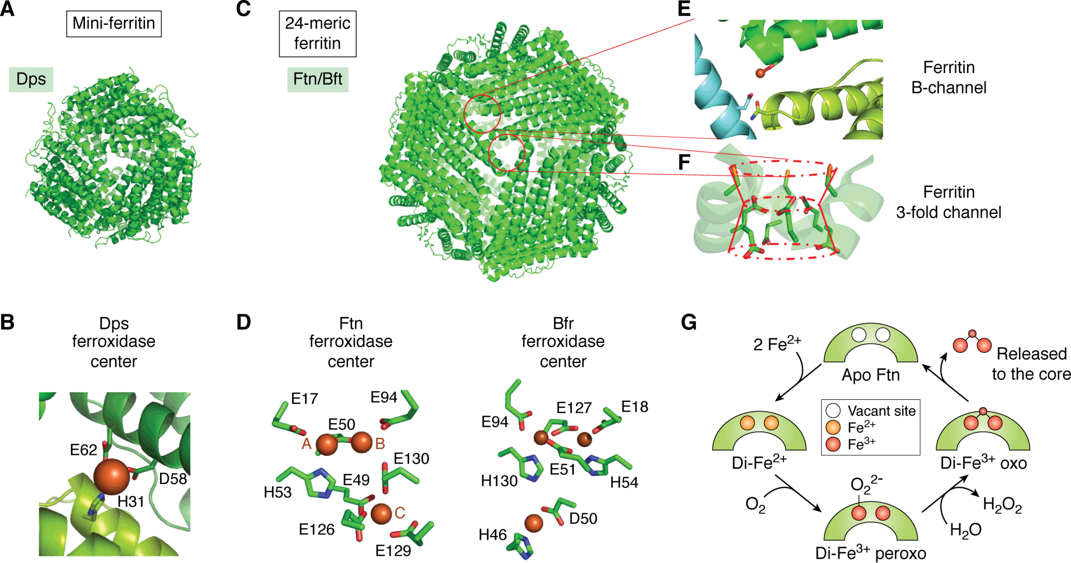 Figure 5.