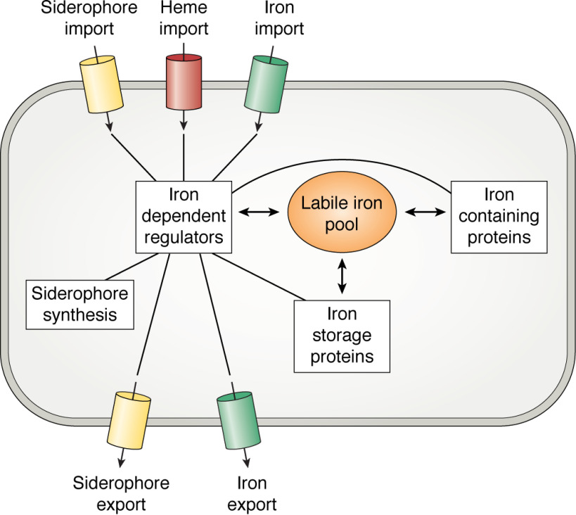 Figure 1.